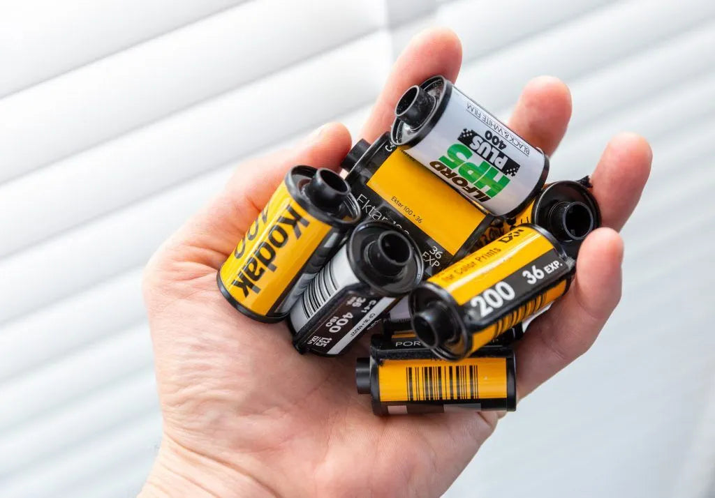 Film Auto Collection