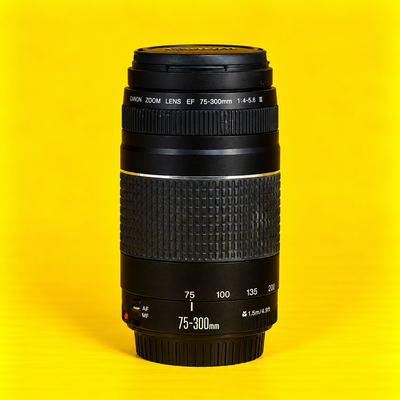 Canon EF 75-300mm, III